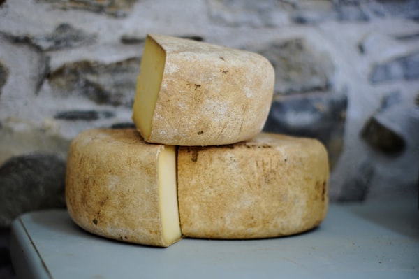 Produção de queijo Canastra artesanal