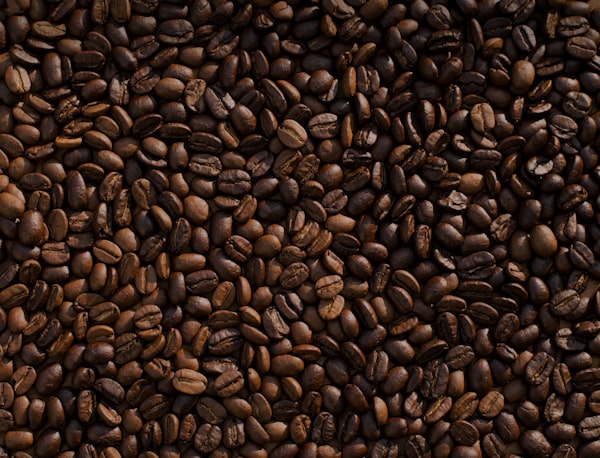Colheita manual de café especial