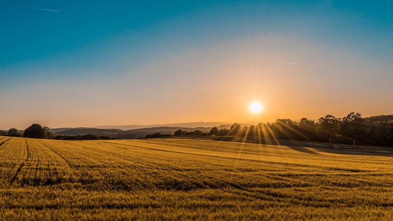 Paisagem rural das fazendas parceiras