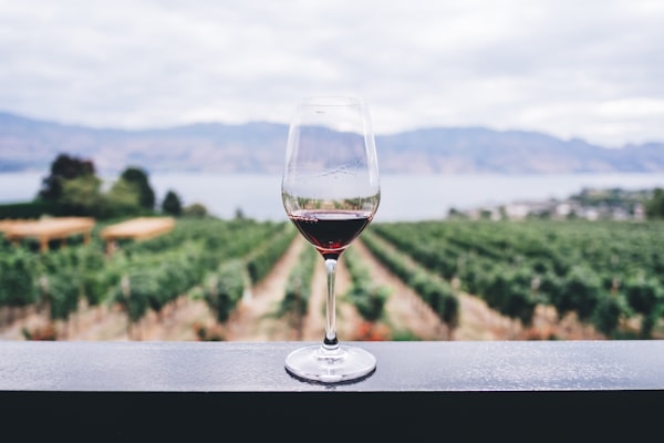 Garrafa de vinho artesanal brasileiro