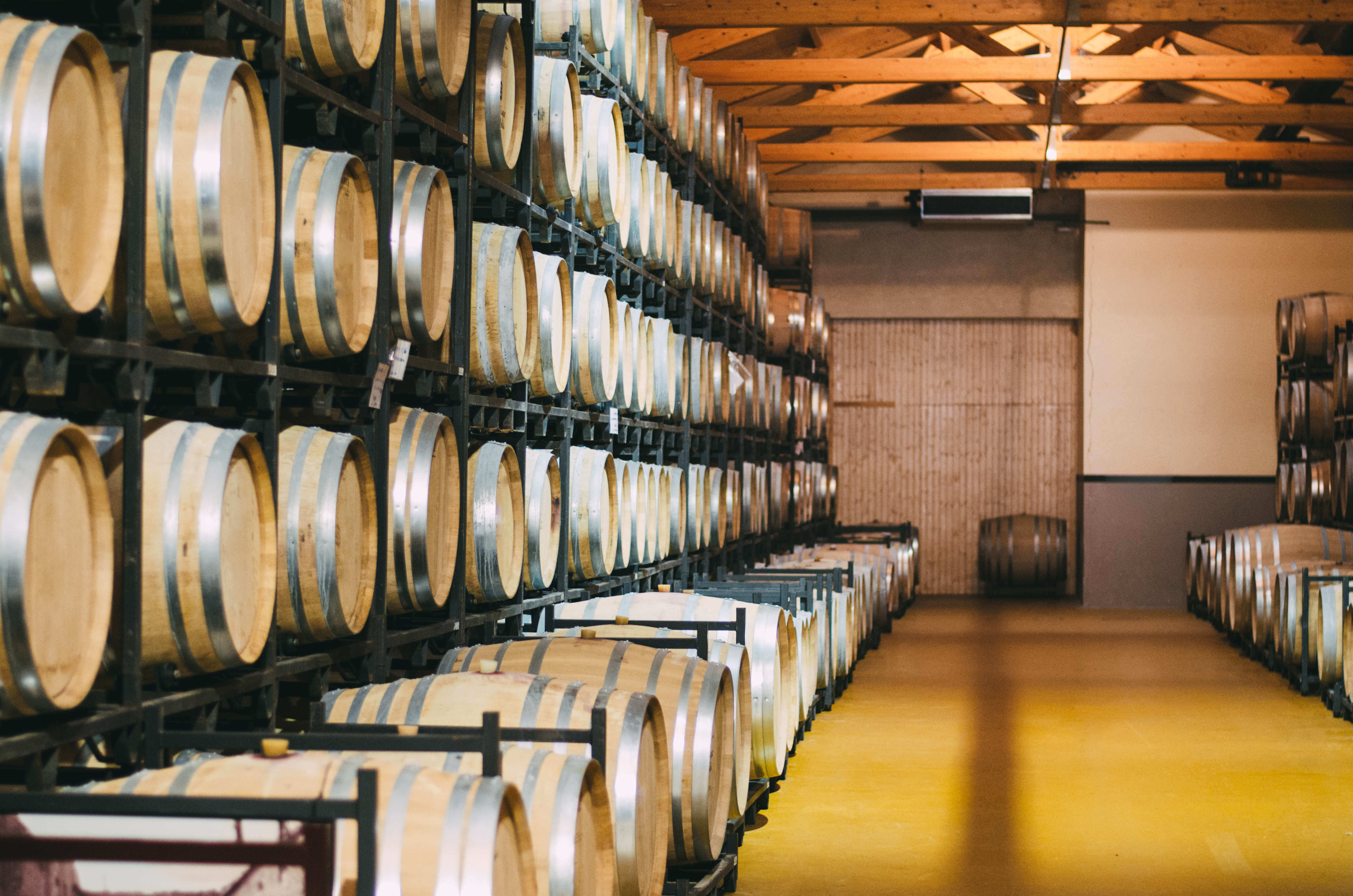 Processo de vinificação artesanal